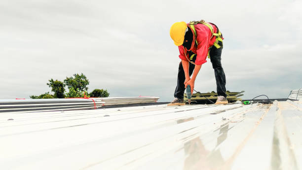Best Rubber Roofing (EPDM, TPO)  in Botkins, OH