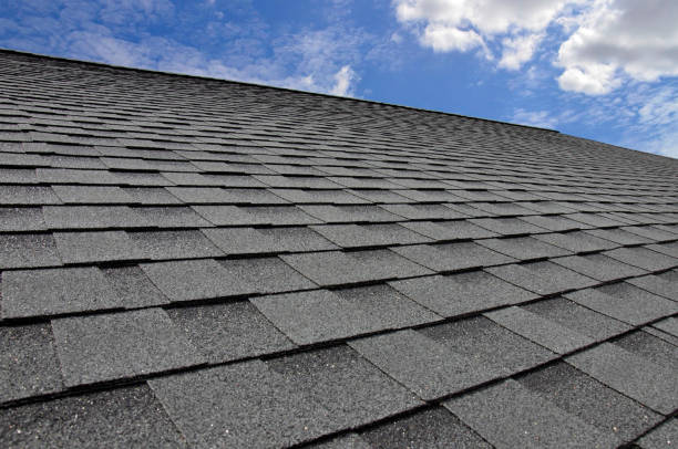 Best Commercial Roofing Services  in Botkins, OH
