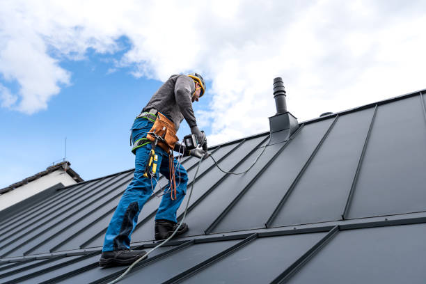 Best Roof Moss and Algae Removal  in Botkins, OH